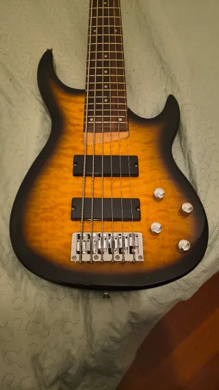 Bajo 6 cuerdas con buen sonido