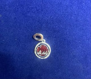 2 Charms Stranger Things run Pulsera Pandora plata