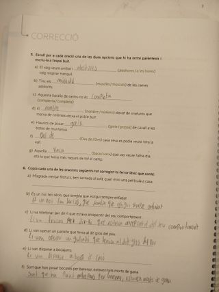 Llengua Catalana i Literatura 4t ESO -  - 97884307737