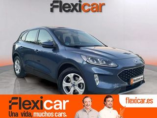 Ford Kuga Trend 1.5 EcoBlue 88kW (120CV)
