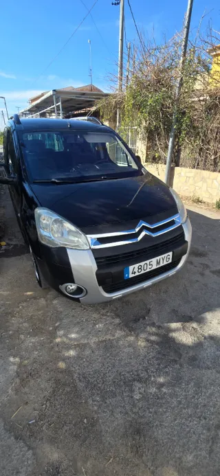 Citroen Berlingo 2010