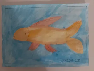 Disegno pesce acquerello A4