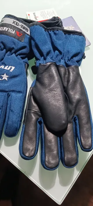 Guanti sci Invicta Gore-Tex PolarTec TG8