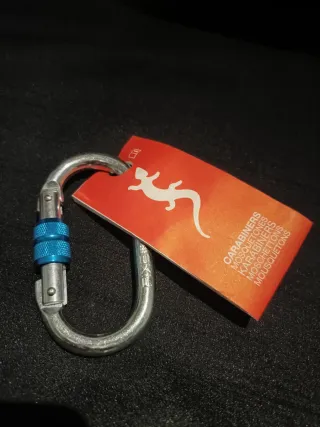 Mosquetones FIXE 20 unidades