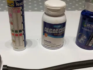 Kit  Acuario Plantas