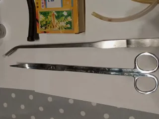 Kit  Acuario Plantas