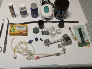 Kit  Acuario Plantas