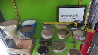 Maceteros Gres Bonsai