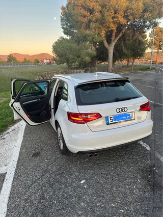 Audi sport back Sport back 2013