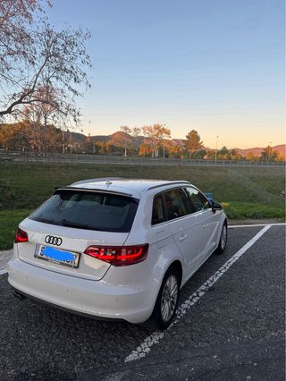 Audi sport back Sport back 2013