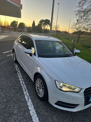 Audi sport back Sport back 2013