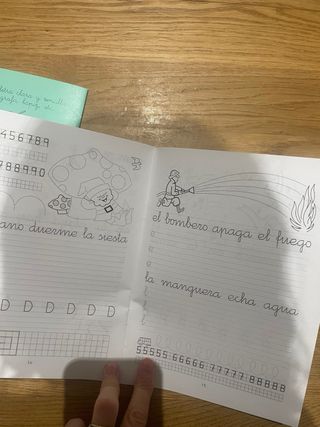 Lote de 2 libros escritura