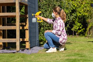 Pistola de pintura WAGNER W 250