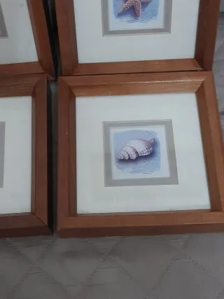 Set 4 Quadretti Parete Tema Marino