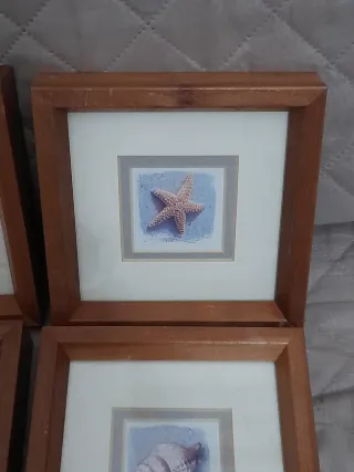 Set 4 Quadretti Parete Tema Marino