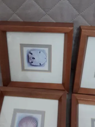 Set 4 Quadretti Parete Tema Marino