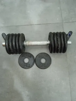 Mancuernas 10 discos 1kg, 2 discos 0.5kg, 2 pinzas