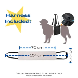 Sedia a rotelle per cani