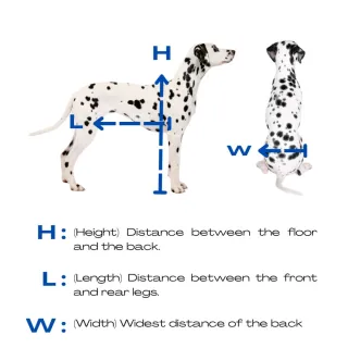 Sedia a rotelle per cani