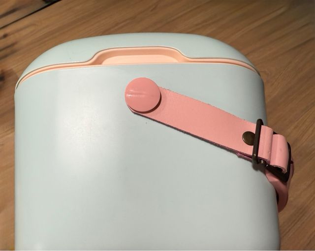 Neverita portatile Polarbox, stile retrò