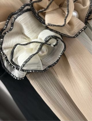 Vestito elegante Rinascimento