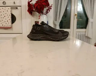 Nike Pegasus Trail Gore-Tex GTX