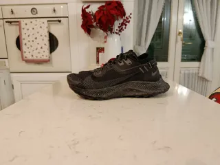 Nike Pegasus Trail Gore-Tex GTX