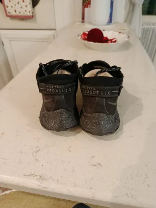 Nike Pegasus Trail Gore-Tex GTX