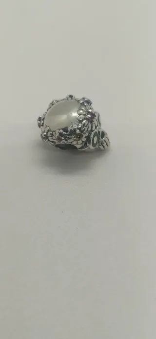 Charm de plata