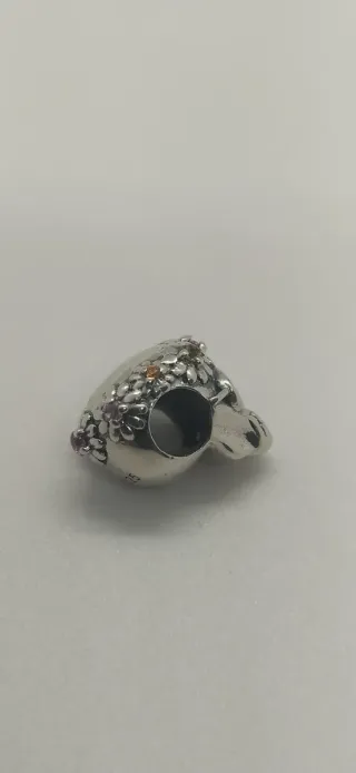 Charm de plata