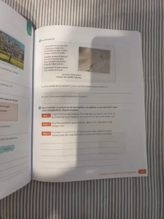 Cuaderno de Lengua Castellana y Literatura. 6 P...