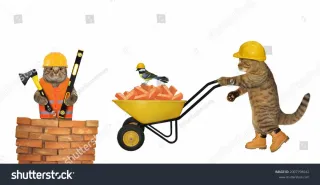 Desescombro y pequeñas reformas