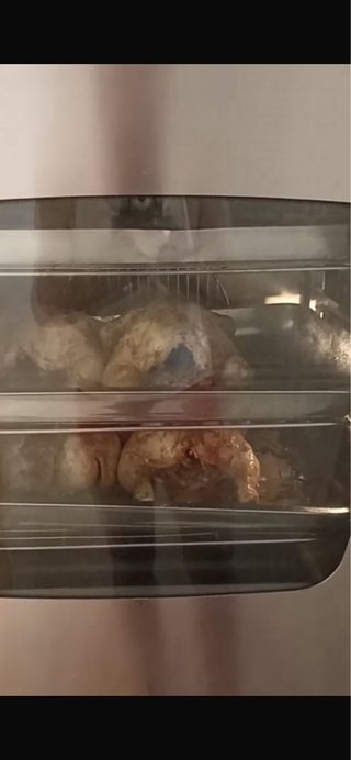 Horno de gas y vapor profesional