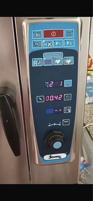 Horno de gas y vapor profesional