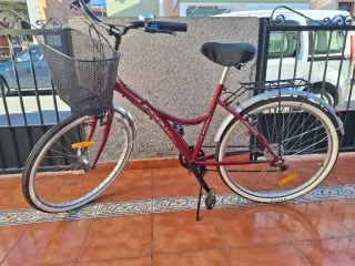 Bicicleta Paseo Urban LIFE 26