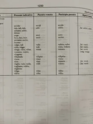 Nuovo Grande Dizionario Italiano- Ruso