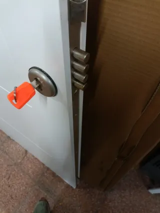 Puerta blindada blanca y roble bonita