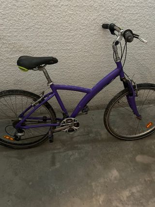 Bicicleta Aluminio Chica Rueda 26