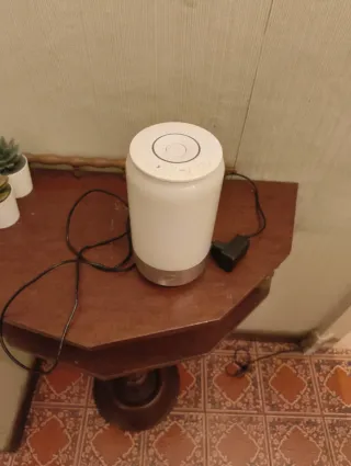 Lampada da tavolo bianca e argento