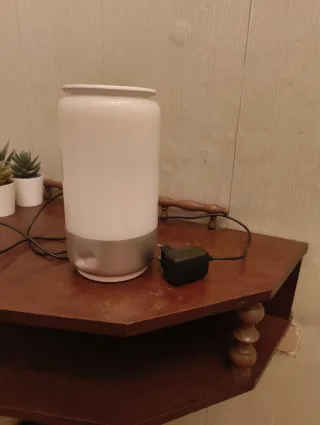 Lampada da tavolo bianca e argento