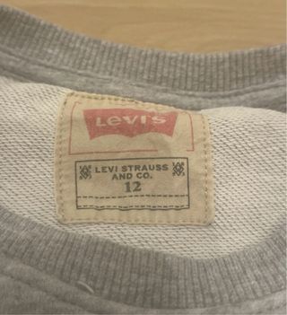 Sudadera Levi's Logo Batwing Gris