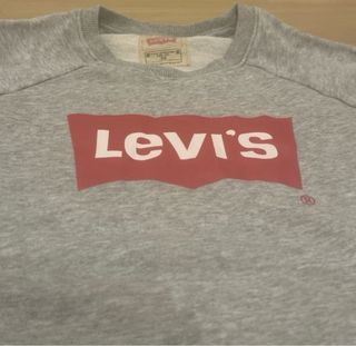 Sudadera Levi's Logo Batwing Gris