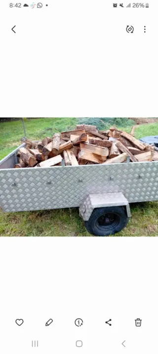 Leña seca para chimenea