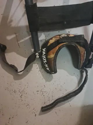 Carrito para perro Julius-K9