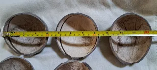 6 Cascas de Coco para Artesanato