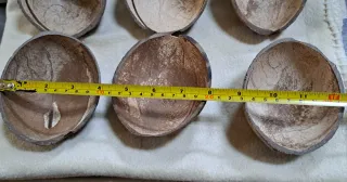 6 Cascas de Coco para Artesanato