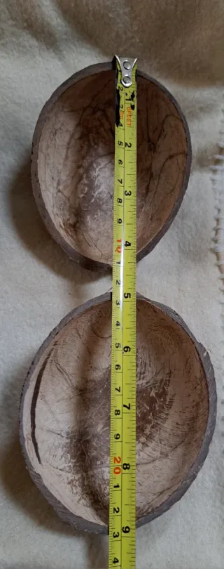 6 Cascas de Coco para Artesanato