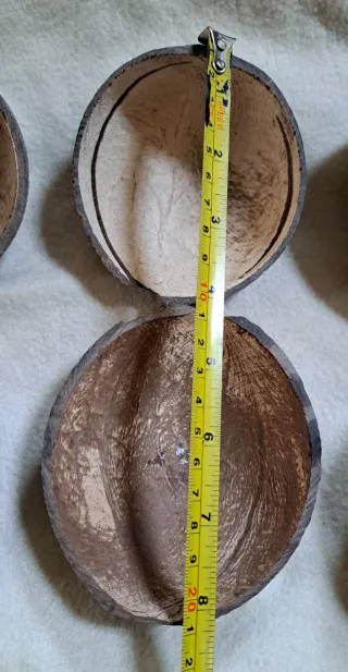 6 Cascas de Coco para Artesanato