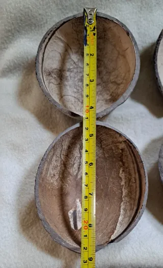 6 Cascas de Coco para Artesanato