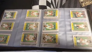 350 cromos Liga 81-82 sin repetir recuperados y